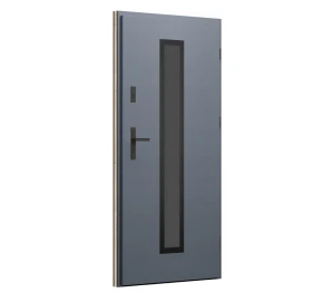 Wikęd Haustür PREMIUM PLUS Modell 12 Anthrazit 90
